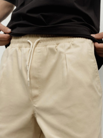 Повседневные шорты HARVEST модель 090650000010770000 Фото