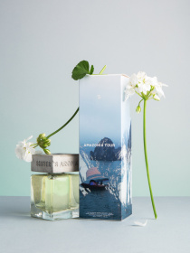 Аромат для дома Тур по Амазонии Sister’s Aroma модель 4820227783823 Фото