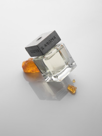 Аромат для дома Янтарь Sister’s Aroma модель 4820227783656 Фото