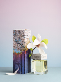 Аромат для дома Утро в Японии Sister’s Aroma модель 4820227784547 Аромат для дома Утро в Японии Sister’s Aroma модель 4820227784547 Фото