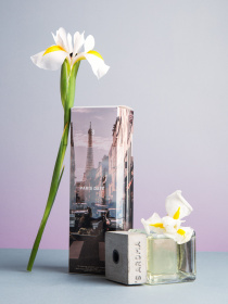 Аромат для дома Свидание в Париже Sister’s Aroma модель 4820227783021 Фото