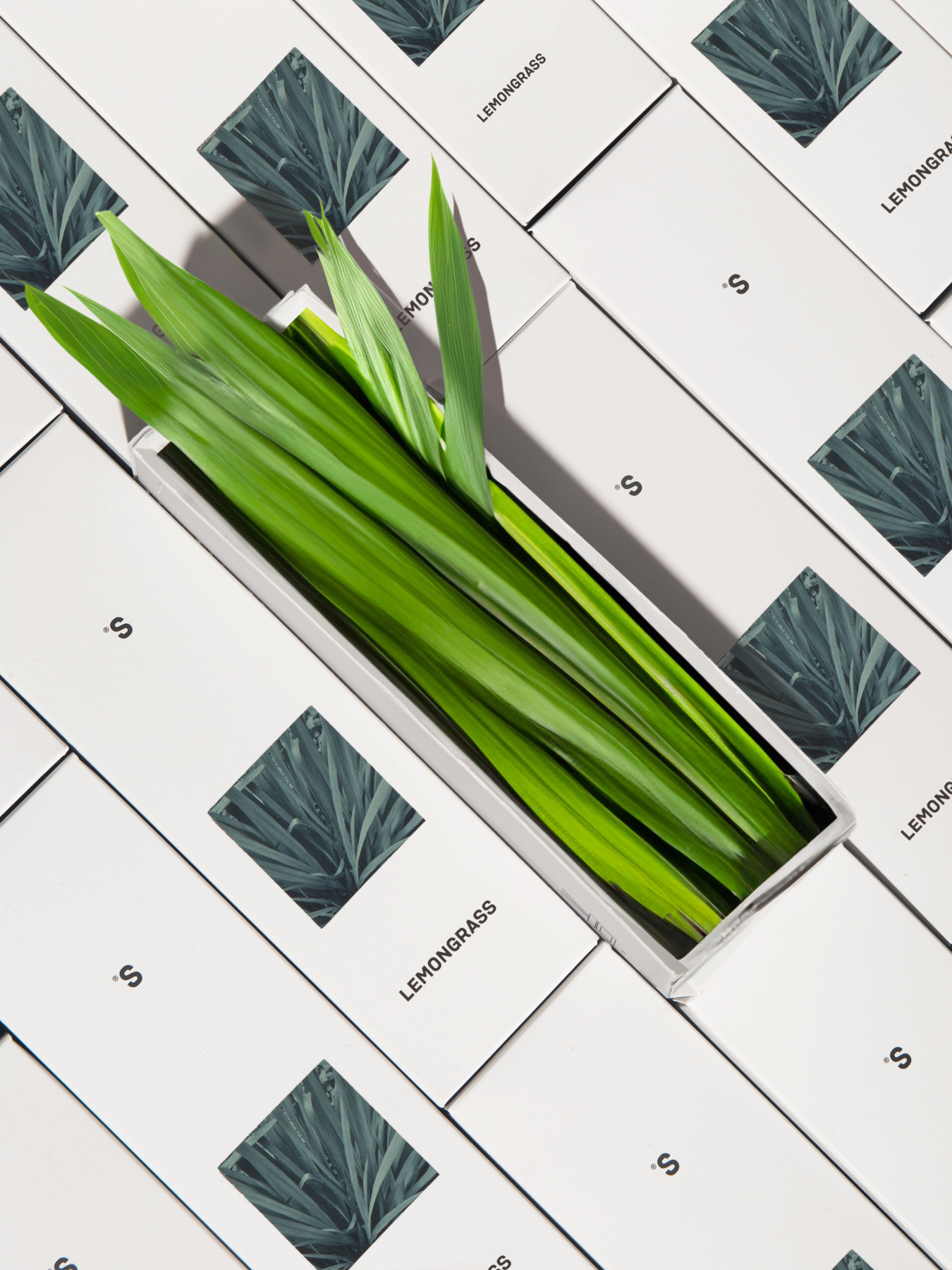 Аромат для дома Лемонграсс Sister’s Aroma модель 4820227782208 Фото