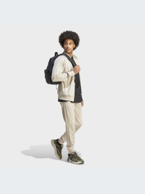 Джоггеры Adidas Graphics модель IJ5690 Фото