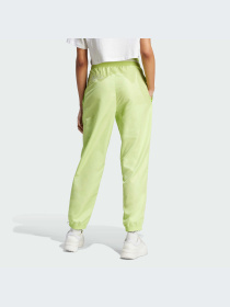 Штаны спортивные Adidas модель IJ8748 Фото