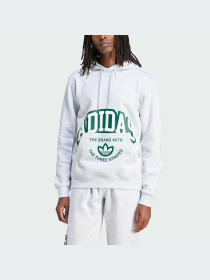 Худи Adidas Graphics модель IS2928 Фото