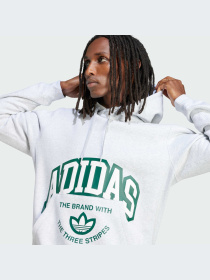 Худи Adidas Graphics модель IS2928 Фото