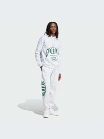 Худі Adidas Graphics модель IS2928 Фото