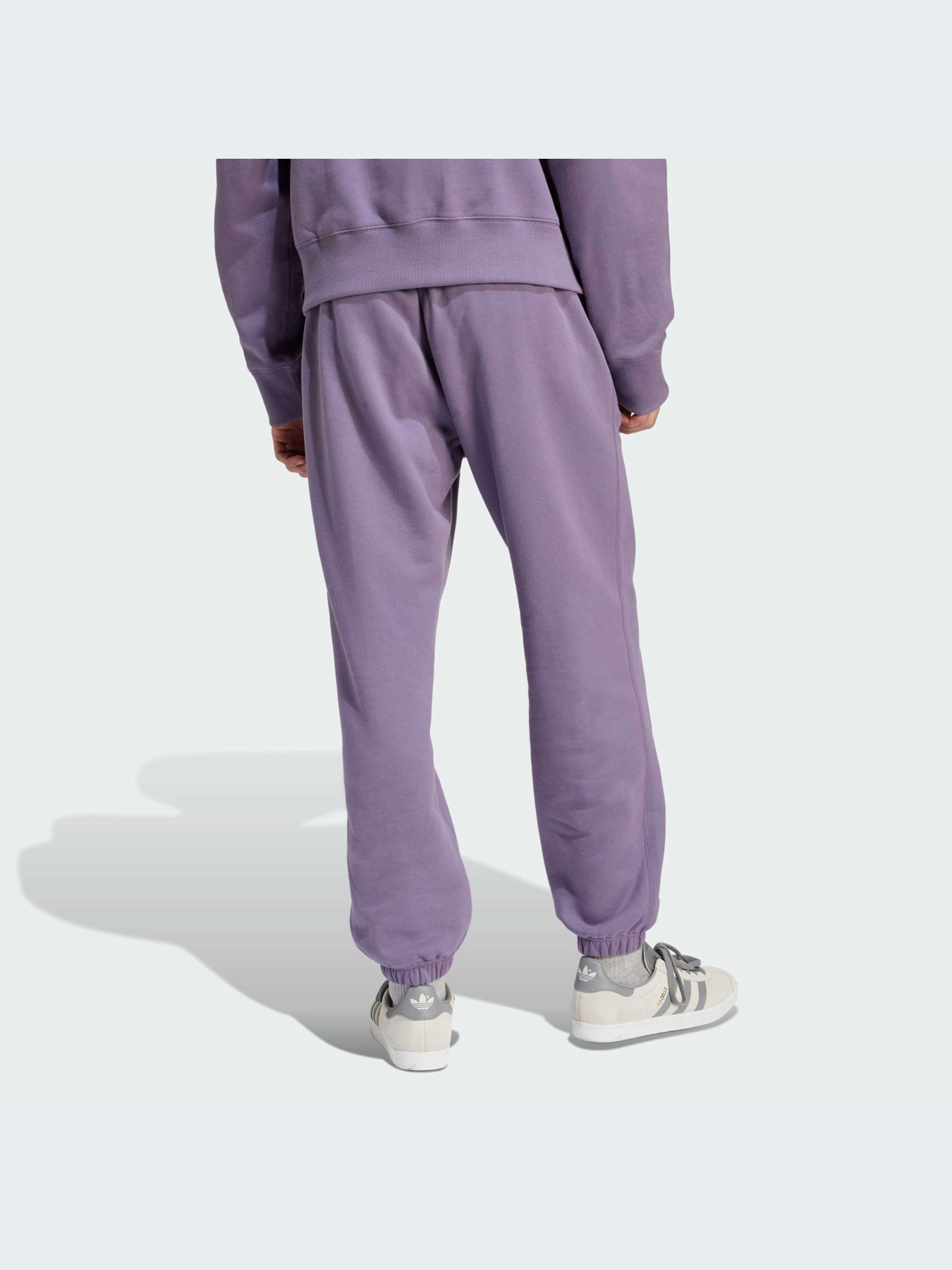 Джоггеры Adidas Adicolor модель IR7890 Фото