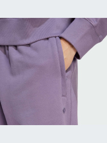 Джоггеры Adidas Adicolor модель IR7890 Фото