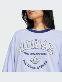 Худі та світшоти Adidas Graphics модель IT4271 Фото
