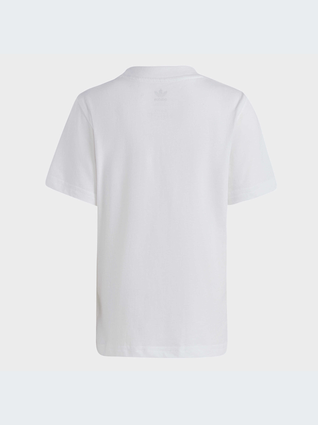 Спортивный комплект Adidas Adicolor модель IB9894 Фото