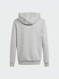 Худи Adidas Graphics модель IR9620 Фото