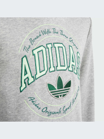 Худи Adidas Graphics модель IR9620 Фото
