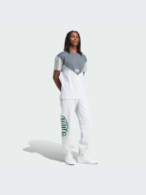 Штаны спортивные Adidas Graphics модель IS2900 Фото