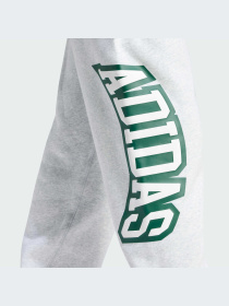 Штаны спортивные Adidas Graphics модель IS2900 Фото