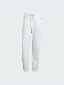 Штаны спортивные Adidas Graphics модель IS2900 Фото