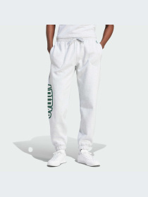 Штаны спортивные Adidas Graphics модель IS2900 Фото