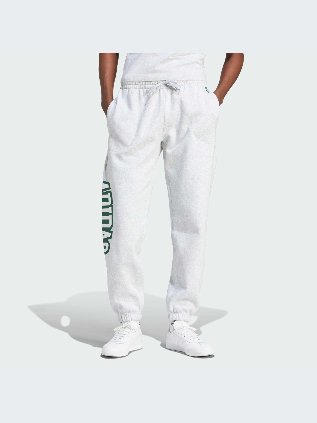 Спортивні штани Adidas Graphics модель IS2900 Фото