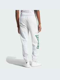 Спортивні штани Adidas Graphics модель IS2900 Фото