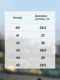 Лофери Arber модель M30.06.09.411 Фото