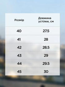 Лофери Arber модель M30.18.02.411 Лофери Arber модель M30.18.02.411 Фото