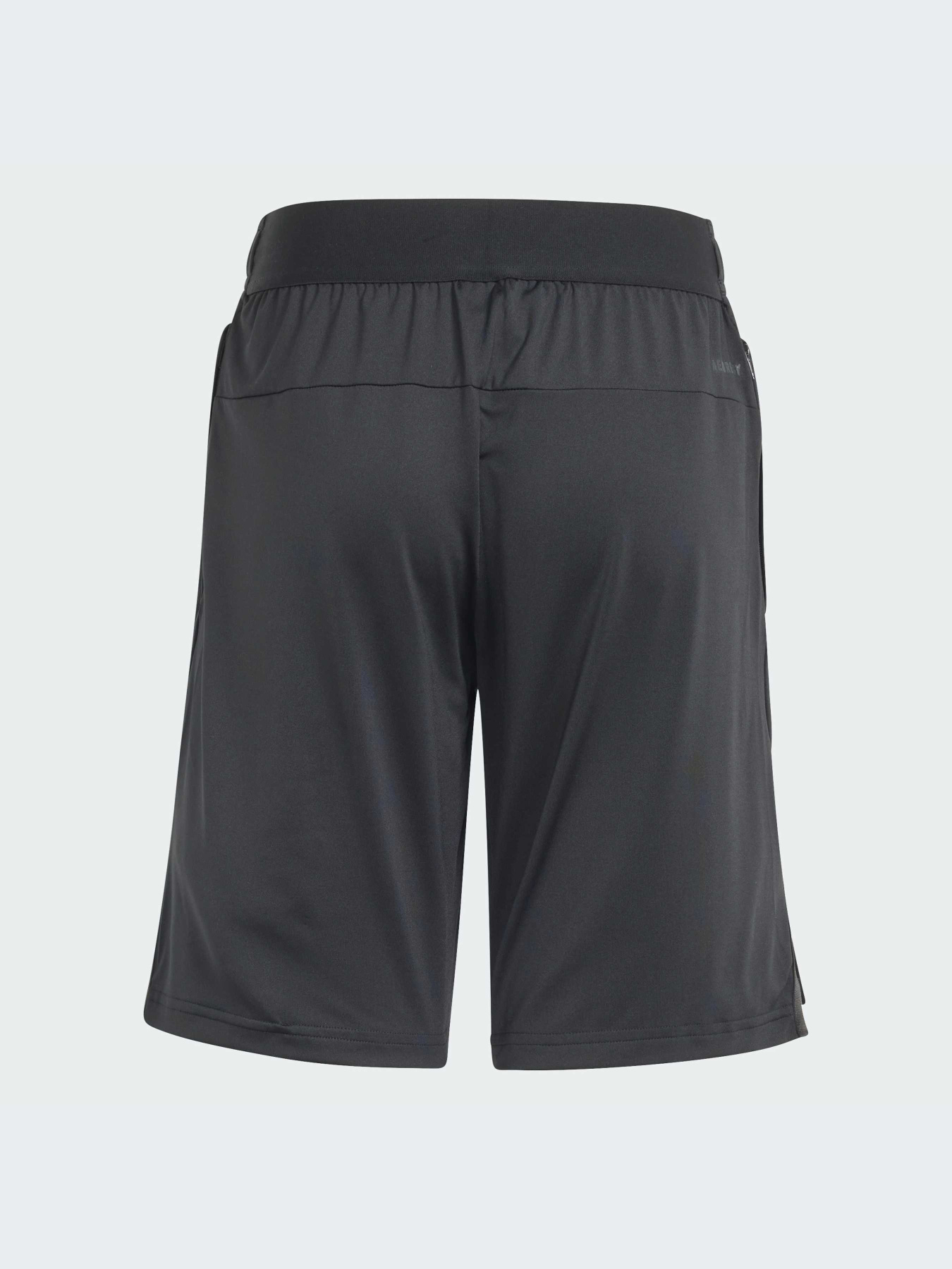 Шорты спортивные Adidas модель IN1662 Фото