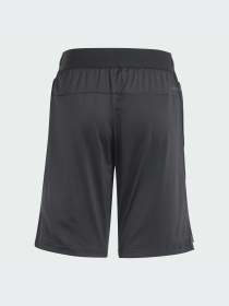 Шорты спортивные Adidas модель IN1662 Фото