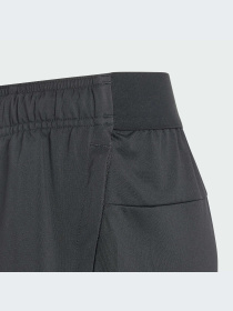 Шорты спортивные Adidas модель IN1662 Фото