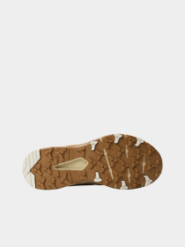 Кроссовки The North Face модель NF0A7W4TQK71 Фото