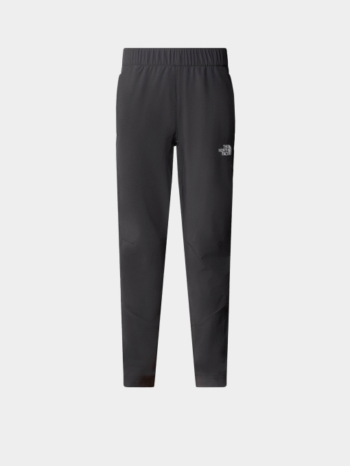 Брюки The North Face модель NF0A89PW0C51 Фото