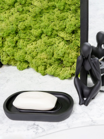 Мыльница черная Richmond MBM MY HOME модель BA-07 BLACK Фото