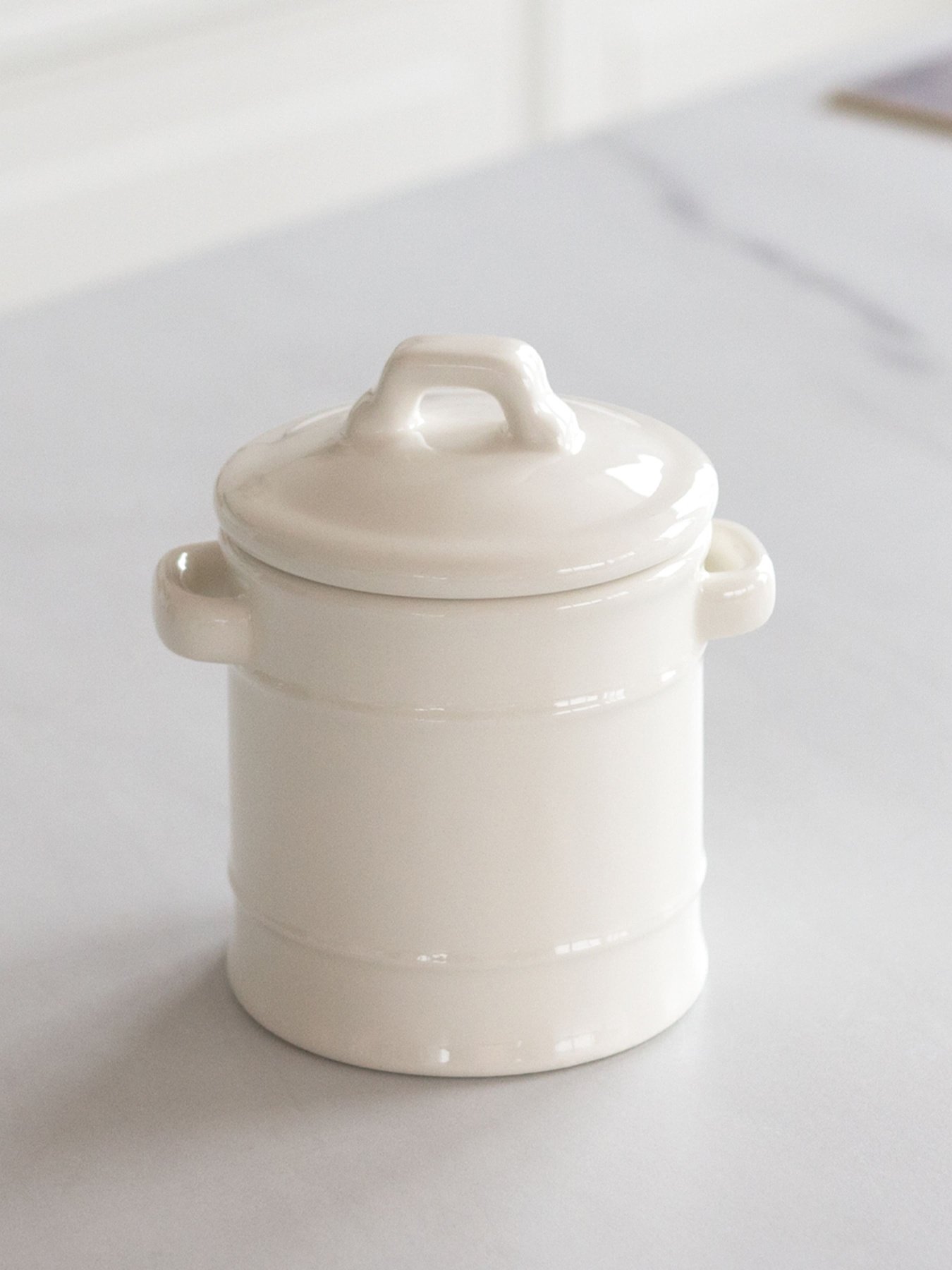 Емкость для хранения с ручками белая MBM MY HOME модель KP-19 WHITE Фото