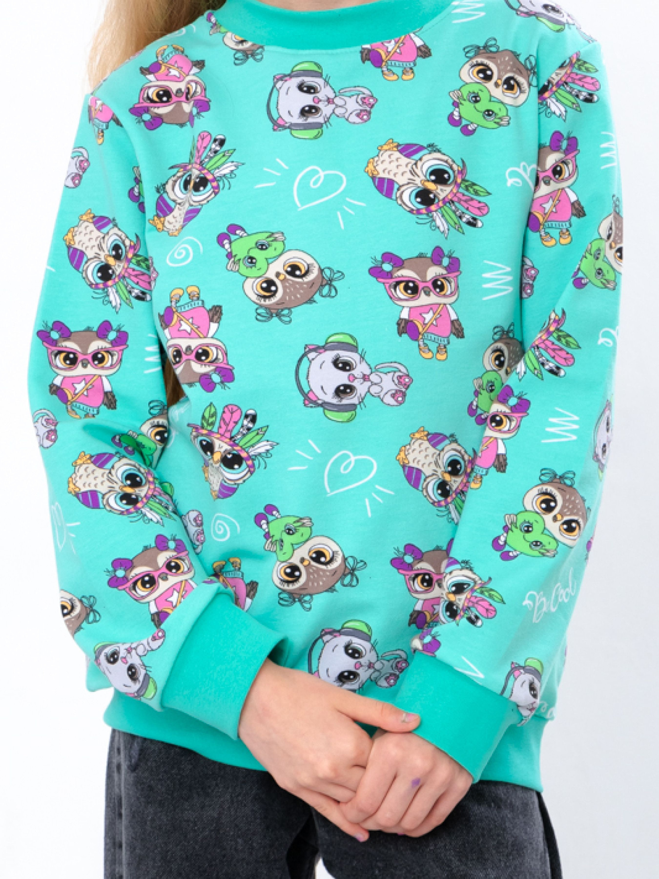 Світшот Носи своє модель 6069-055-5-sova-mentol Світшот Носи своє модель 6069-055-5-sova-mentol Фото