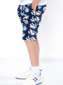 Повседневные шорты Носи своє модель 6208-055-zvrqta Фото