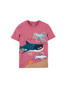 Футболка Carter’s модель 1N005010 Фото