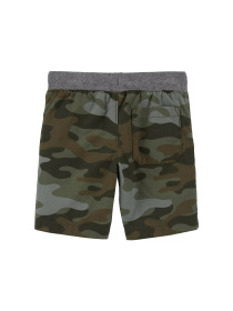 Повсякденні шорти Carter’s модель 1N004310 Фото