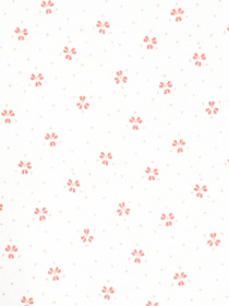 Боді для немовлят Carter’s модель 1P565710 Боді для немовлят Carter’s модель 1P565710 Фото