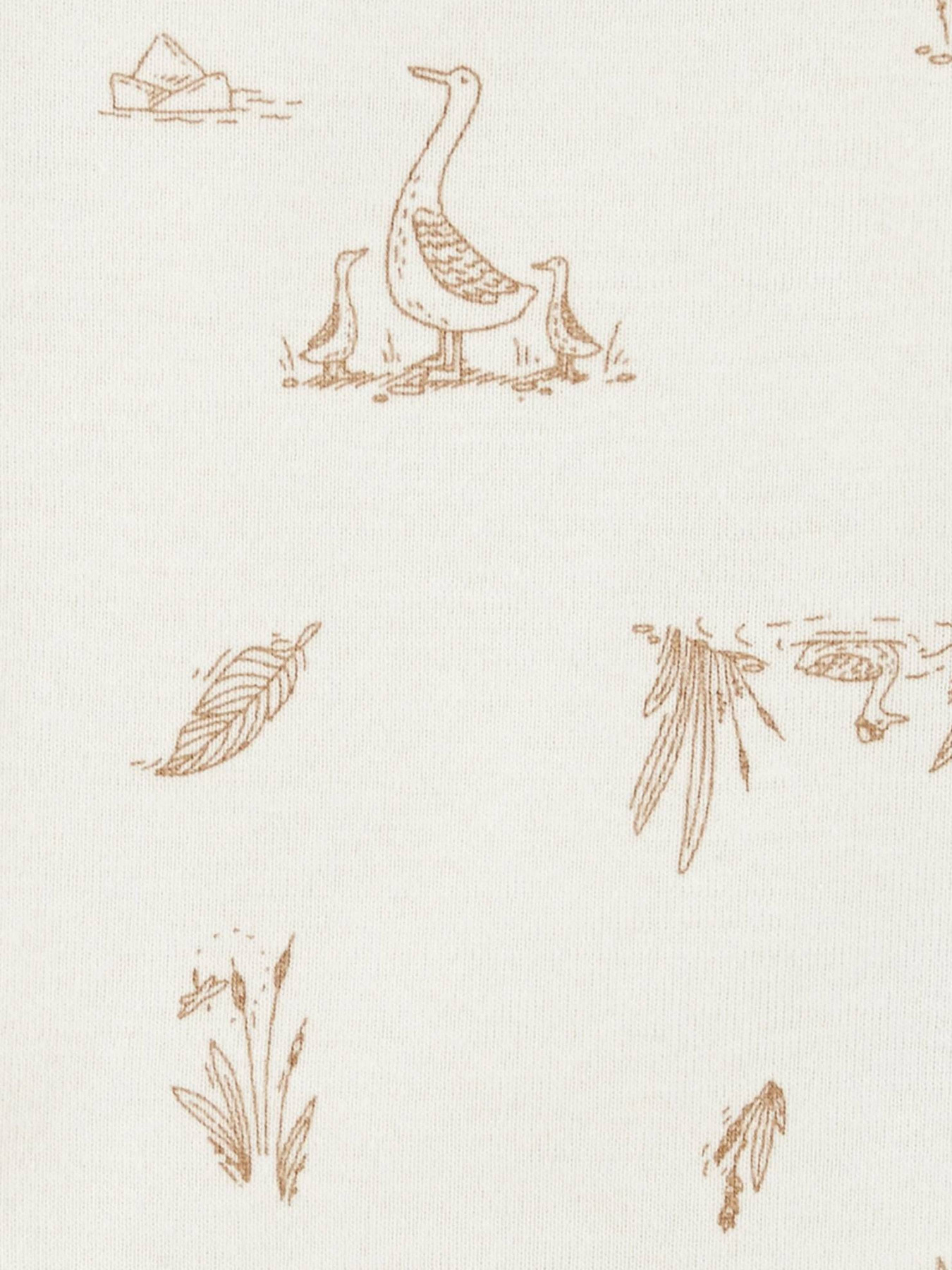 Боди для младенцев Carter’s модель 1P559710 Фото