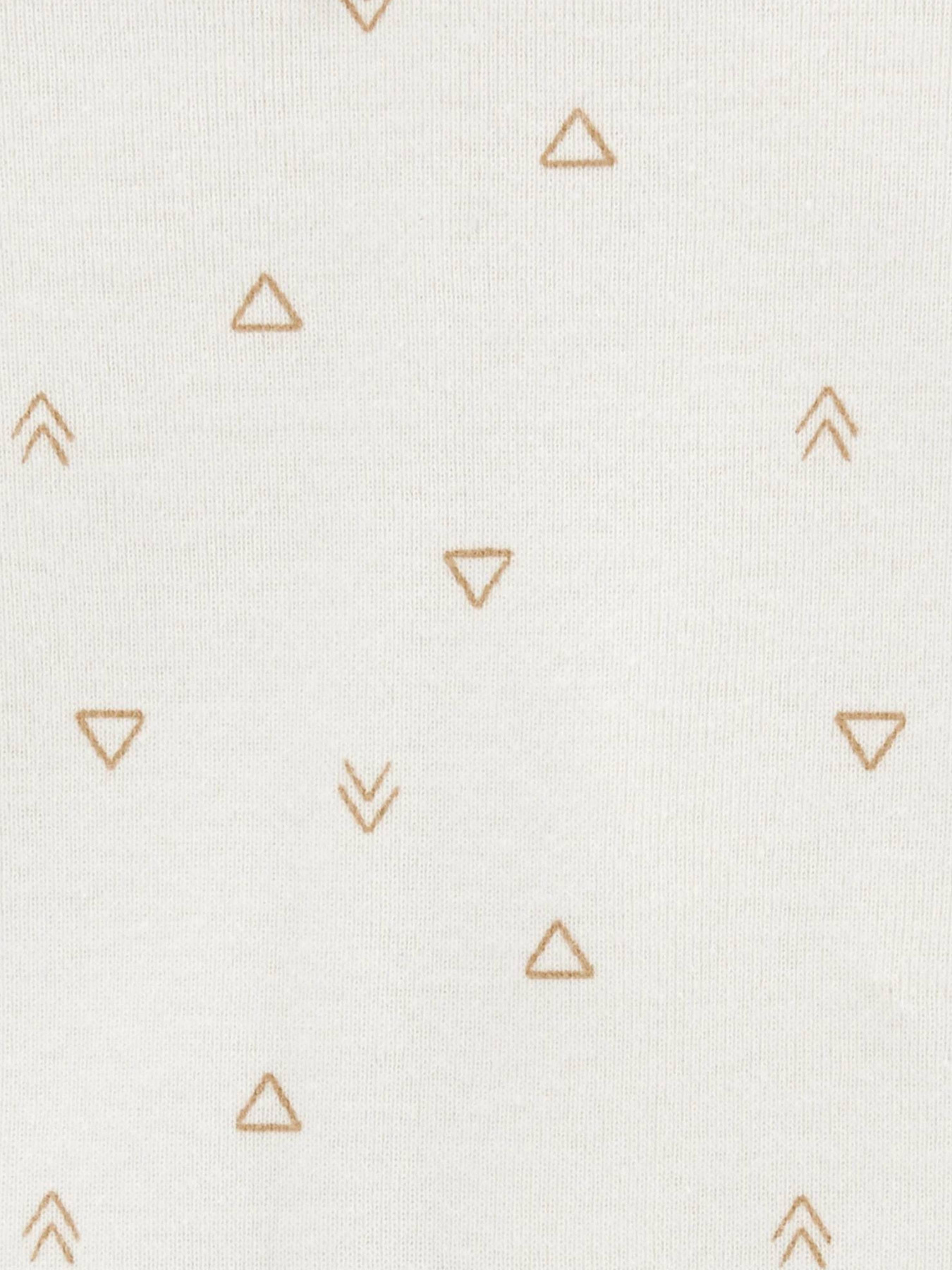 Боди для младенцев Carter’s модель 1P567510 Фото