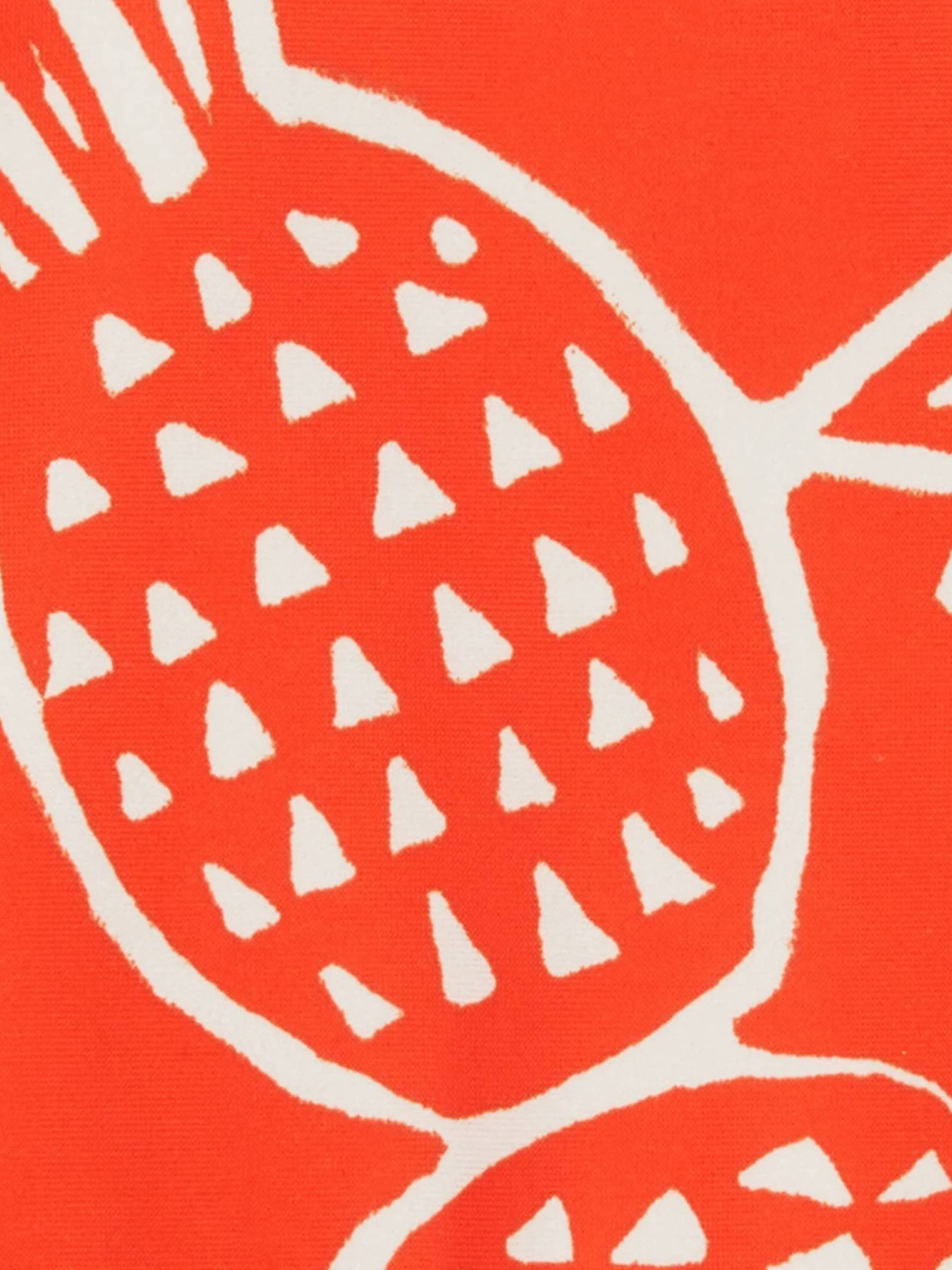 Купальник Carter’s модель 1Q569510 Фото