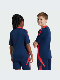 Спортивна футболка Adidas Tiro модель IT2013 Фото