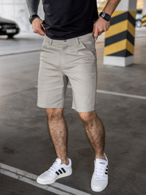 Повседневные шорты TeamV модель 634-3 Фото