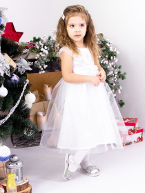 Платье миди Носи своє модель 7008-of-blij Фото