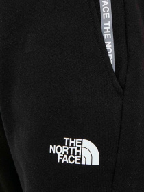 Брюки The North Face модель NF0A87DMJK31 Фото