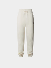Брюки The North Face модель NF0A87DMQLI1 Фото