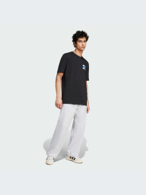 Футболка Adidas Graphics модель IZ2580 Фото