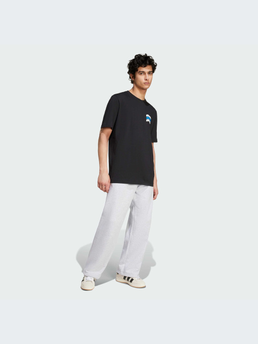 Футболка Adidas Graphics модель IZ2580 Фото