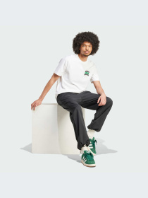 Футболка Adidas Graphics модель IX6748 Фото