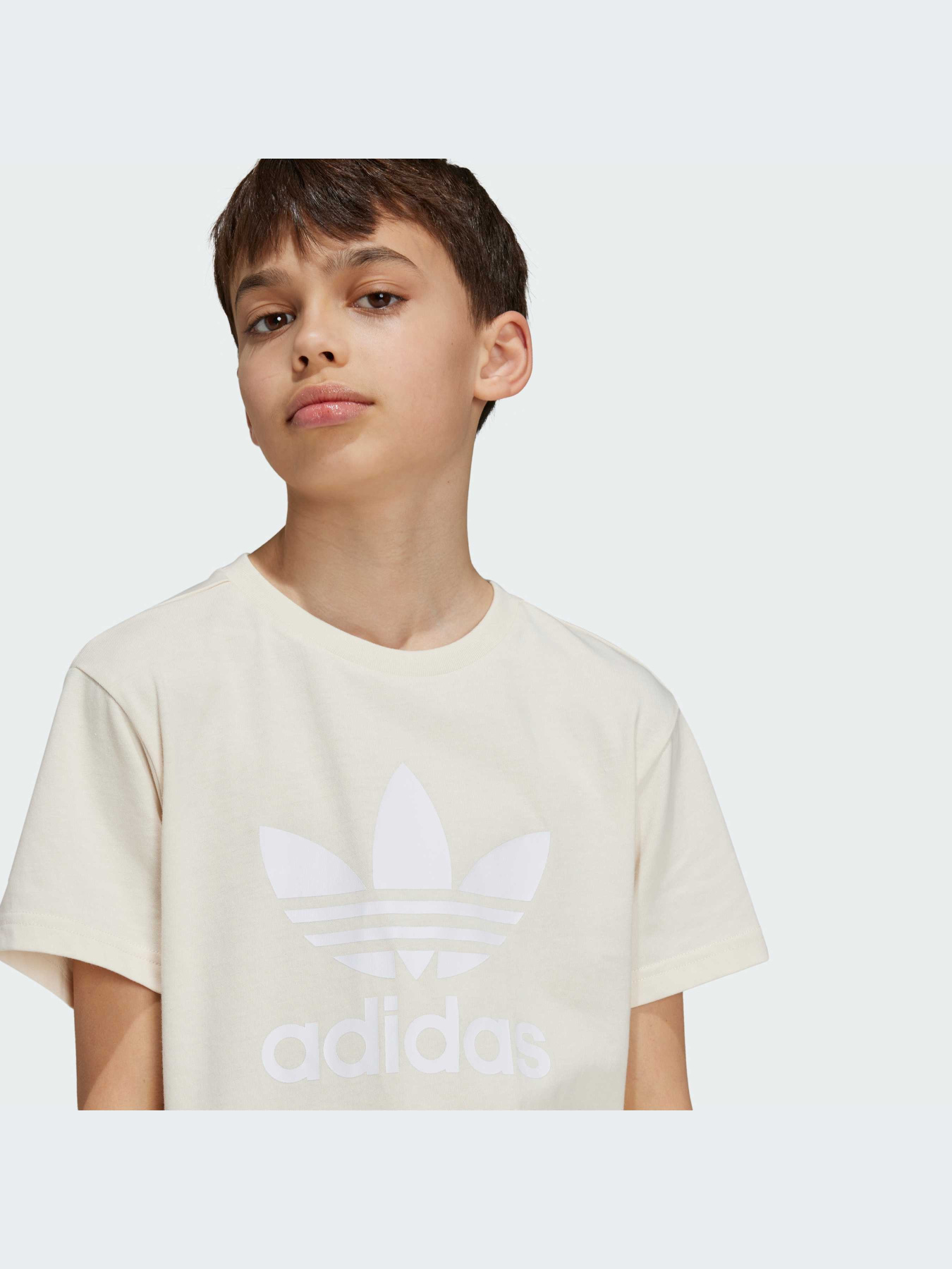 Футболка Adidas Культовые силуэты модель IY7418 Фото