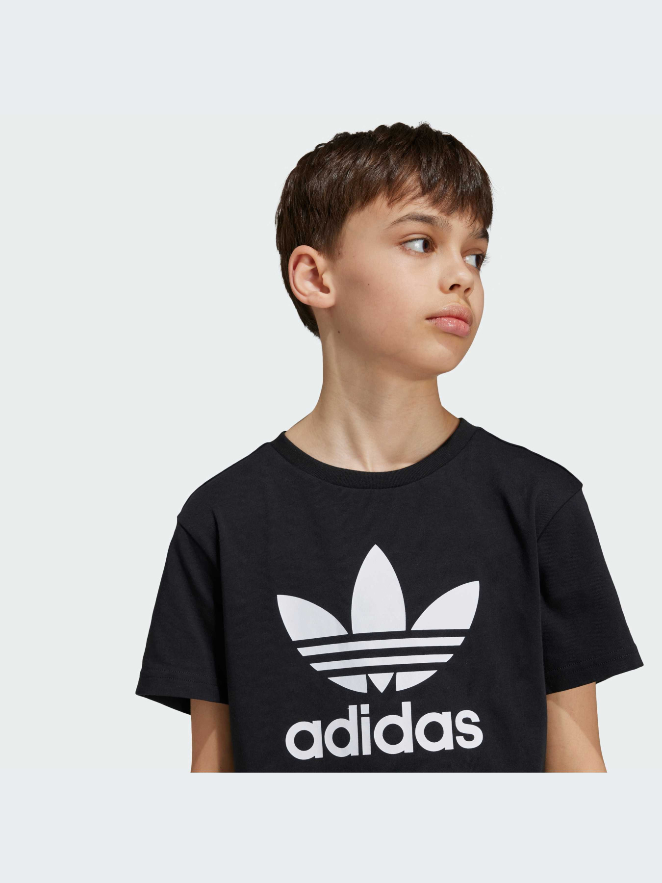 Футболка Adidas Adicolor модель IY7421 Фото